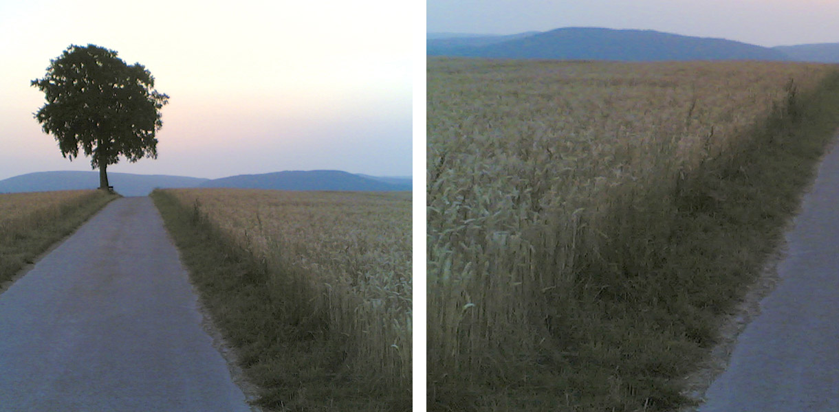 Trauer ist keine Krankheit, sondern eine natürliche und notwendige Reaktion auf einen Verlust. Manchmal braucht man dabei Unterstützung. Wir stehen Ihnen auch nach einer Beisetzung als Gesprächspartnerinnen zur Verfügung oder vermitteln Ihnen Kontakte zu Ansprechpersonen in unserem Trauernetzwerk.